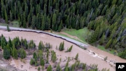 EN FOTOS | Cierre del Parque Nacional Yellowstone por inundaciones