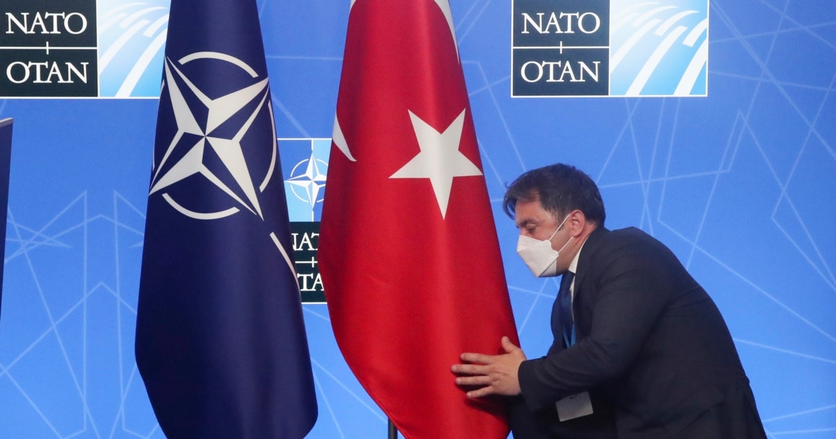 Erdogan to Meet With Leaders of Sweden, Finland Before NATO Summit in 4-Way Talks