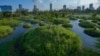 New Park in Bangkok Provides Much Needed Green Space 