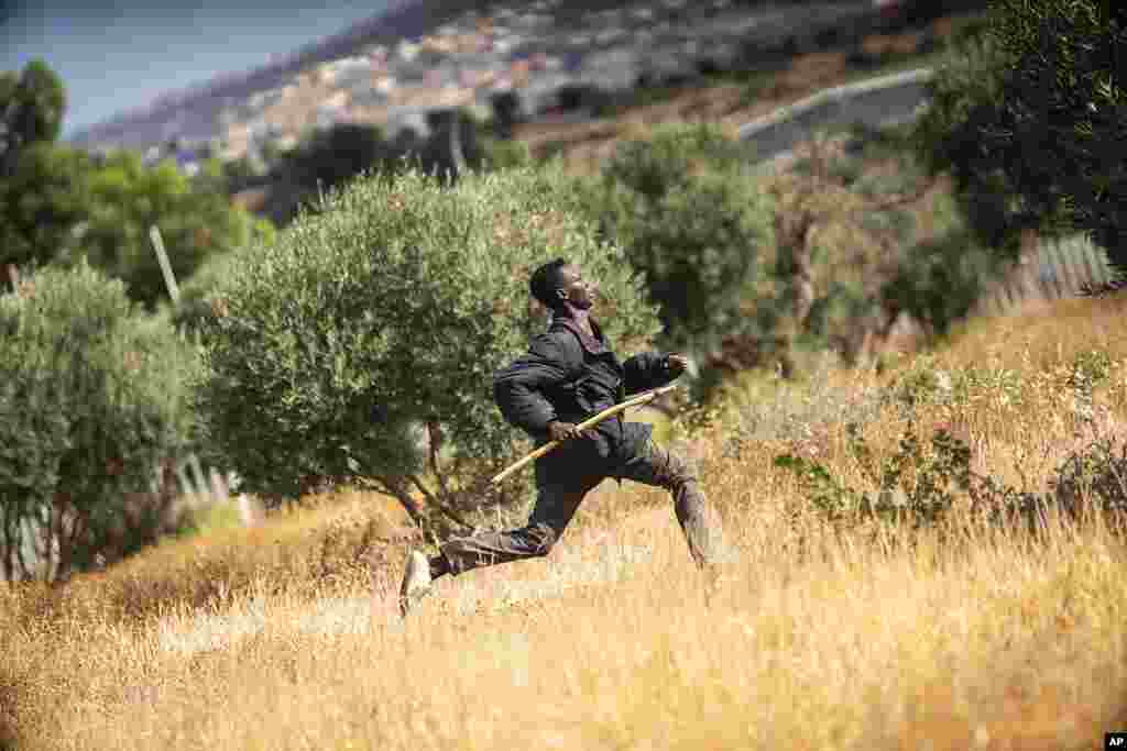 A migrant runs on Spanish soil after crossing the fences separating the Spanish enclave of Melilla from Morocco in Melilla, Spain.
