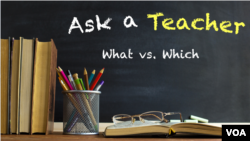 Ask a Teacher: What vs. Which