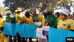 Several political parties march for peace in Bulawayo