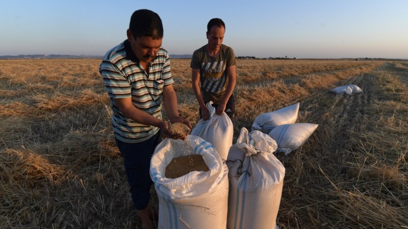 Touchée par la crise ukrainienne, Tunis cherche l'autosuffisance en blé dur
