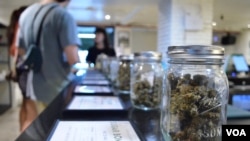 Jars of cannabis buds line the counter at the Four Twenty dispensary in Bangkok. (Peter Zsombor/VOA)