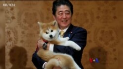 ဂျပန်ဝန်ကြီးချုပ်ဟောင်း လုပ်ကြံခံရ နှင့် “တပတ်အတွင်း ကမ္ဘာ့သတင်း”