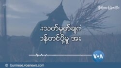 ငွေလဲနှုန်းသတ်မှတ်ချက်ကြောင့် မြန်မာ့ဆန်တင်ပို့မှု အခက်ကြုံ