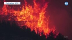 Kıbrıs’ta Orman Yangınları Yayılıyor