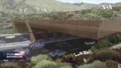 Kalifornija: Divlje životinje dobit će most preko autoputa