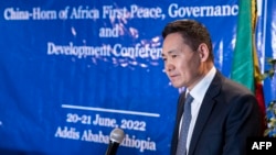"Nous avons appris de l'Histoire que la Corne de l'Afrique ne doit devenir l'arrière-cour d'aucun pays", a souligné l'envoyé spécial chinois Que Bing.