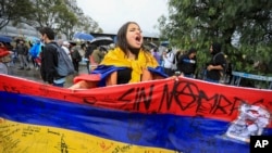 Partidarios del candidato presidencial Gustavo Petro, con la coalición Pacto Histórico, celebran después de que su candidato ganara una segunda vuelta presidencial en Bogotá, Colombia, el domingo 19 de junio de 2022. (Foto AP/Fernando Vergara)