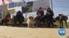 Amid Ukraine War, Volunteers Help Displaced People and Pets 