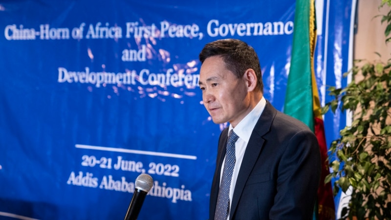 L'offre de Pékin pour le règlement des conflits dans la Corne de l'Afrique