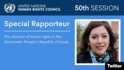 유엔 인권이사회는 8일 페루 교황청립가톨릭대학 민주주의∙인권연구소의 엘리자베스 살몬 소장을 신임 북한인권특별보고관에 공식 임명했다고 발표했다. 사진 = UN Human Rights Council / Twitter. 