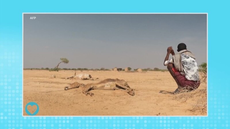 Carnet de santé: sécheresse et pénuries d'eau