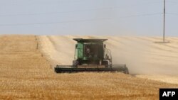 A farmer uses a combine harvester to harvest wheat on a field near Izmail, in the Odessa region, on June 14, 2022, amid the Russian invasion of Ukraine.
