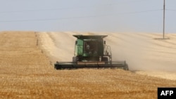 FILE - A farmer uses a combine harvester to harvest wheat on a field near Izmail, in Ukraine's Odesa region, June 14, 2022, amid Russia's invasion of its neighbor.
