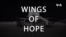 Alas Que Ayudan (Wings of Hope)