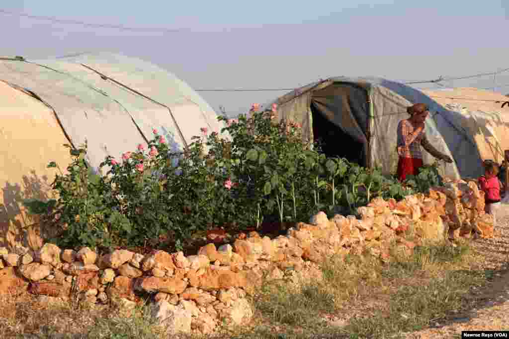 Derbiderbên Efrînî