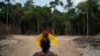 FILE - An Indigenous Chief looks out at a path created by loggers on the border between the Biological Reserve Serra do Cachimbo and Menkragnotire Indigenous lands, in Altamira, Para state, Brazil, Aug. 31, 2019. 