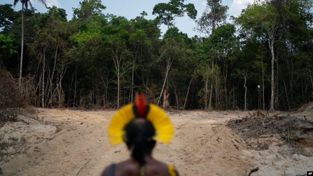 FILE - An Indigenous Chief looks out at a path created by loggers on the border between the Biological Reserve Serra do Cachimbo and Menkragnotire Indigenous lands, in Altamira, Para state, Brazil, Aug. 31, 2019. 