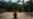 HRW Urges Brazil’s Da Silva to Develop ‘Concrete Measures’ to Protect Amazon