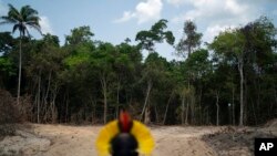 FILE - Krimej Indigenous Chief Kadjyre Kayapo looks out at a path created by loggers on the border between the Biological Reserve Serra do Cachimbo, front, and Menkragnotire Indigenous lands, in Altamira, Para state, Brazil, Aug. 31, 2019. 