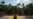 Deforestation in Brazil's Amazon Hits Record for First Half of 2022