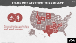 States with Trigger Laws in place.