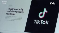 TikTok致信美國參議員，試圖消除他們對數據安全的擔憂