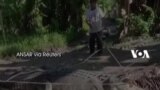 Pria Sulsel Tangkap Buaya 4 Meter Seorang Diri