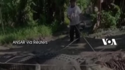 Pria Sulsel Tangkap Buaya 4 Meter Seorang Diri