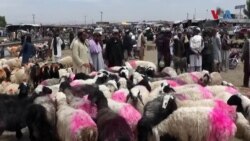 د چمن خلک وایي له افغانستانه د قربانۍ پسونه را پرېښوول شوي خو هغه هم ډېر ګران دي