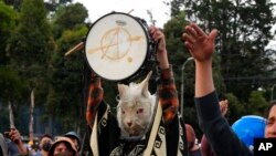 Un manifestante disfrazado de una llama participa en una marcha de apoyo a las recientes protestas y un paro nacional contra el gobierno del presidente Guillermo Lasso, cerca de la Asamblea Nacional en Quito, Ecuador, el sábado 25 de junio de 2022. 