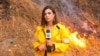 La periodista venezolana Andrea Igliozzi durante su cobertura del incendio forestal de Dixie, que le valió un premio Emmy. Foto Cortesía.