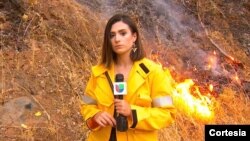 La periodista venezolana Andrea Igliozzi durante su cobertura del incendio forestal de Dixie, que le valió un premio Emmy. Foto Cortesía.