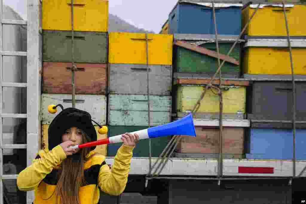 The daughter of an apiarist in a bee costume blows a horn during a protest to demand laws that protect the bee-keeping industry, as beekeepers on strike block the Pan-American highway entrance to Santiago, Chile.