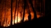 Portugal Battles Wildfires Amid Drought, Heat; 29 Injured