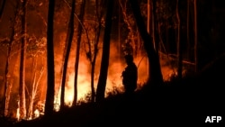 A silhouette of a firefighter standing in a forest is pictured during a wildfire at Casais do Vento, in Alvaiazere, Portugal, July 10, 2022. 
