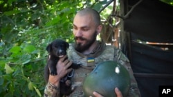 A Ukrainian soldier and his puppy, in the Donetsk region, Ukraine, July 2, 2022. 