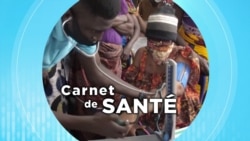 Carnet de Santé : qu'est-ce que l'hépatite virale ?