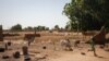 Terduga Militan Islamis Bantai 132 Warga Sipil di Mali Tengah