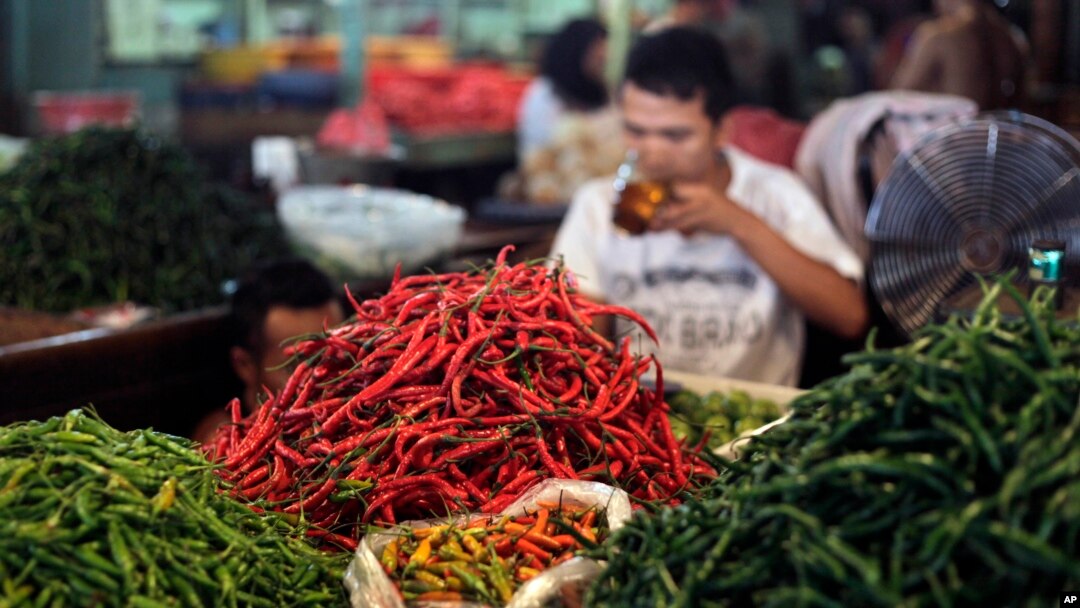 Ilustrasi - Seorang penjual cabai menunggu pelanggan di sebuah pasar di Jakarta, 10 Februari 2011. (AP Photo/Dita Alangkara, File)