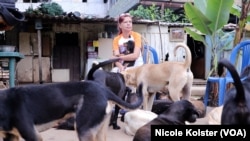 Alba Hernández entre sus perritos del Refugio Mi Moisés en Caracas. Foto Nicole Kolster, VOA.