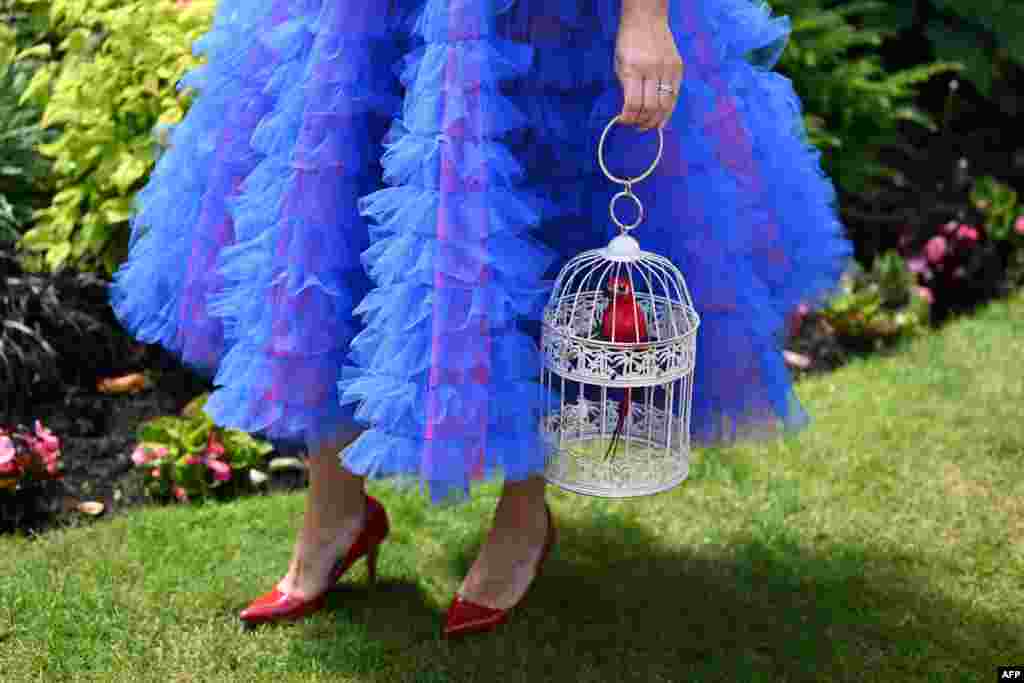 A race-goer carrying a bag shaped as a bird cage attends the third day, known as the Ladies' Day, of the Royal Ascot horse racing meet, in Ascot, west of London.
