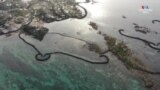 Թայվանի Ջիբեյ կղզում ավելի քան 300 տարի ձկան քարե ջրանցքներ են կառուցում ձկներին թակարդում պահելու համար