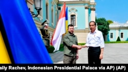 Архівне фото: Президент Індонезії Джоко Відодо, який організовує саміт G20, влітку відвідував як Київ, так і Москву