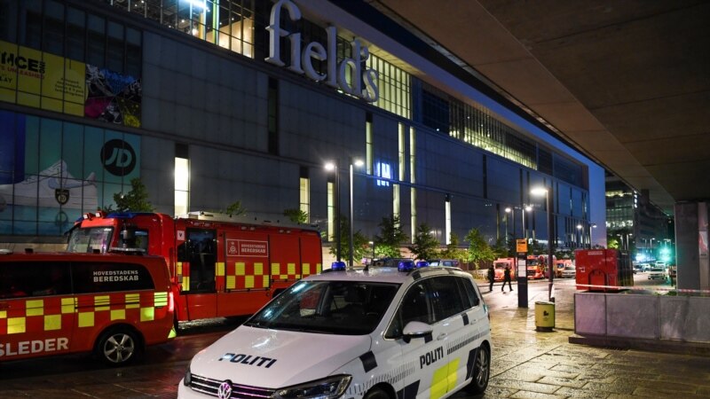 Fusillade de Copenhague: le suspect placé en détention en psychiatrie