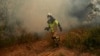 Spain, Germany Battle Wildfires Amid Unusual Heat Wave 