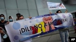 Personas que dicen que sus familiares son víctimas de violaciones de derechos humanos protestan frente a la sede del Programa de las Naciones Unidas para el Desarrollo (PNUD) en Caracas, Venezuela, el viernes 29 de octubre de 2021. (Foto AP/Ariana Cubillos)