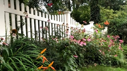 Quiz - How to Slowly Make a ‘Natives Only’ Garden